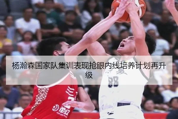 杨瀚森国家队集训表现抢眼内线培养计划再升级 - LEDONGSPORTS